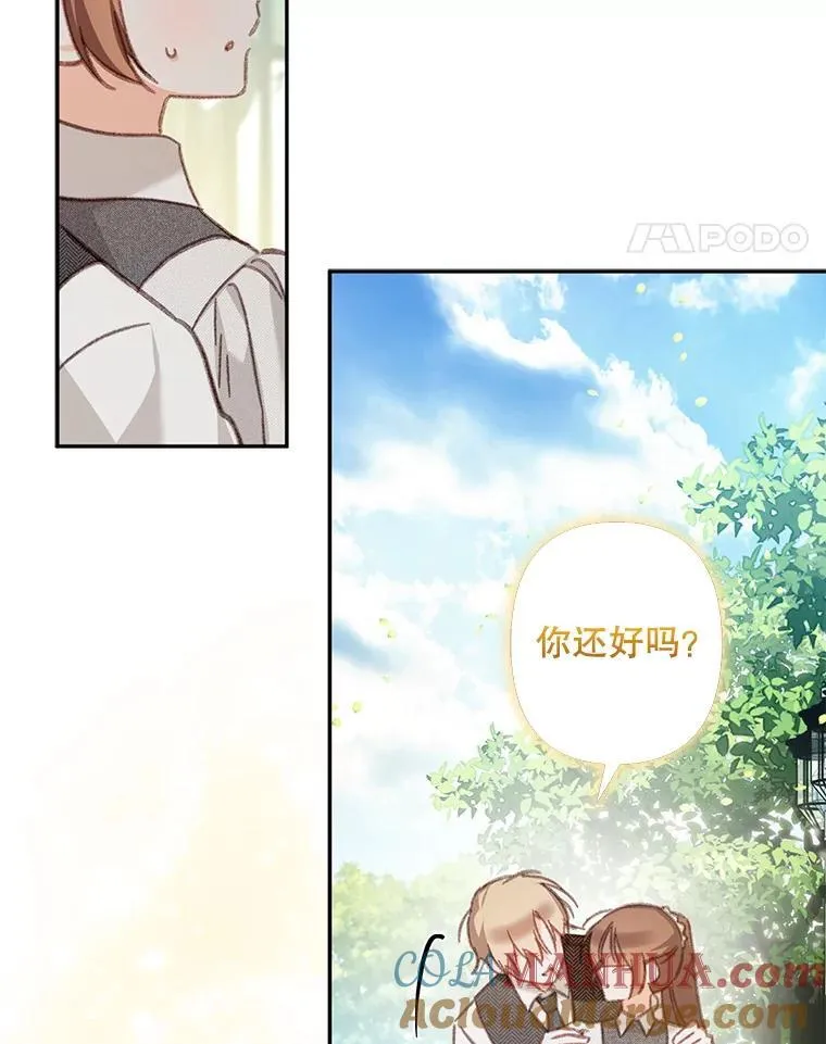 31.庭院凋零28