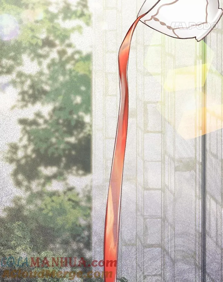 25.特别的茶100