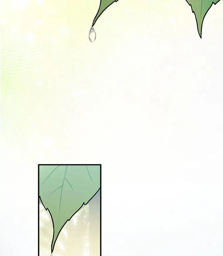 33.月光静谧3