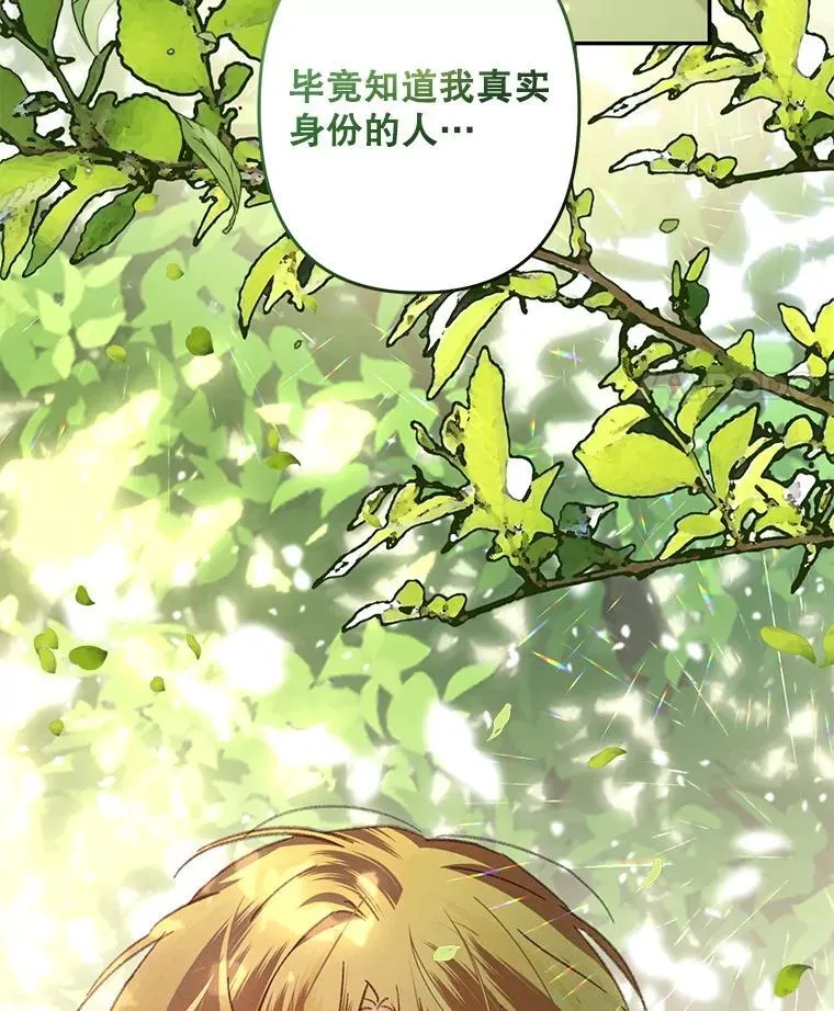 31.庭院凋零55