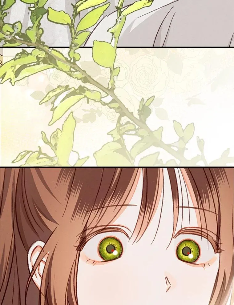 20.问道于花127