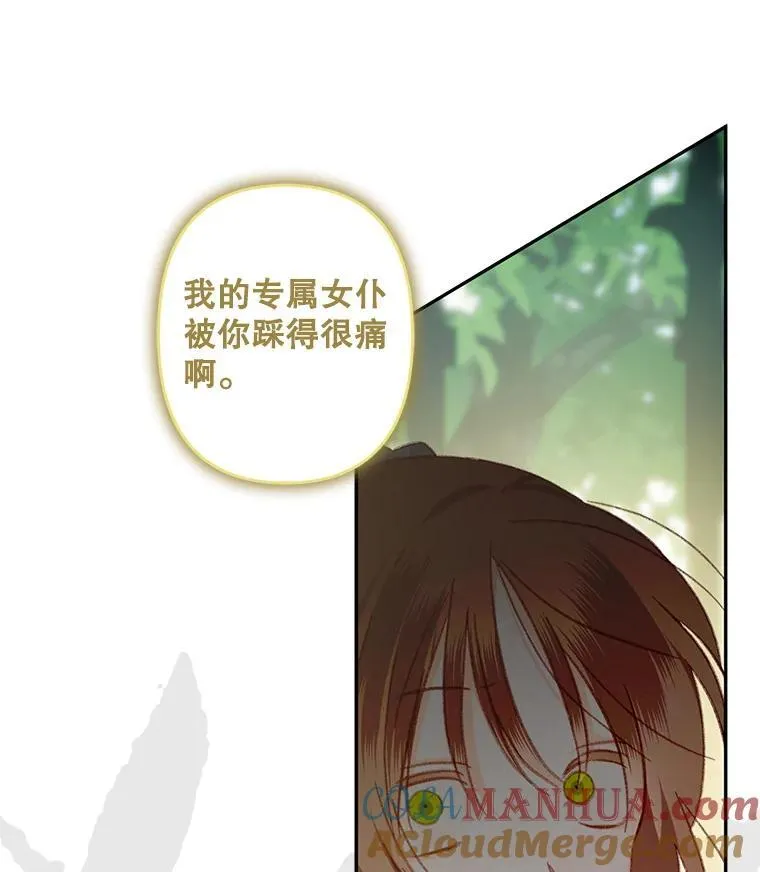 31.庭院凋零4