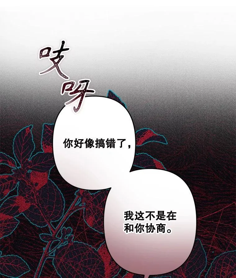 25.特别的茶49