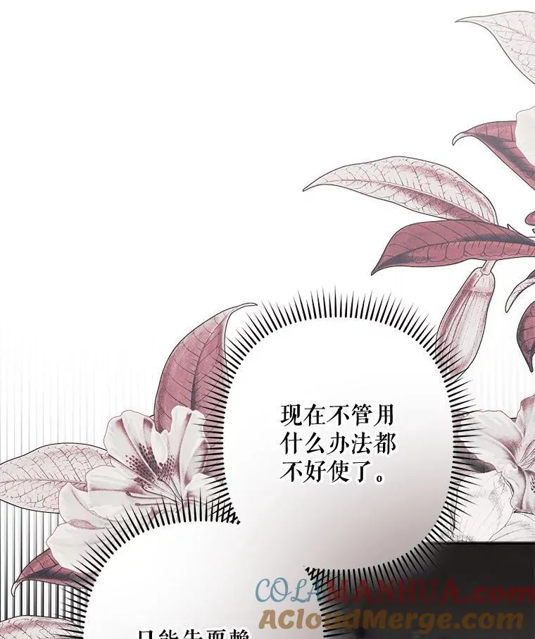 25.特别的茶44