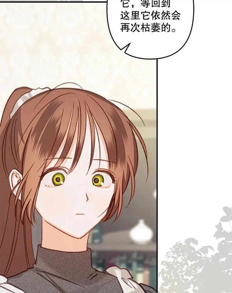 20.问道于花99