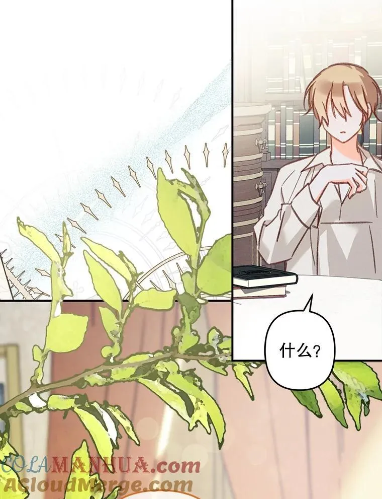 20.问道于花124