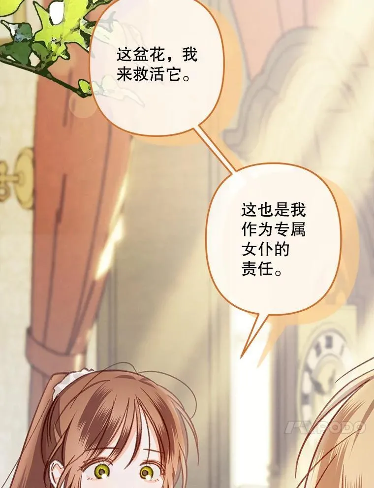 20.问道于花125