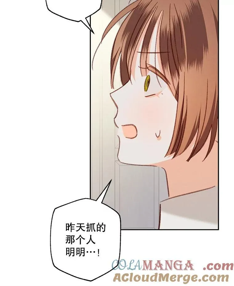 41.天性使然40