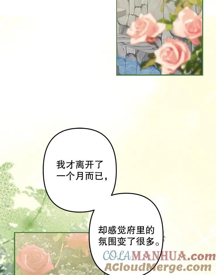 15.感受春天104