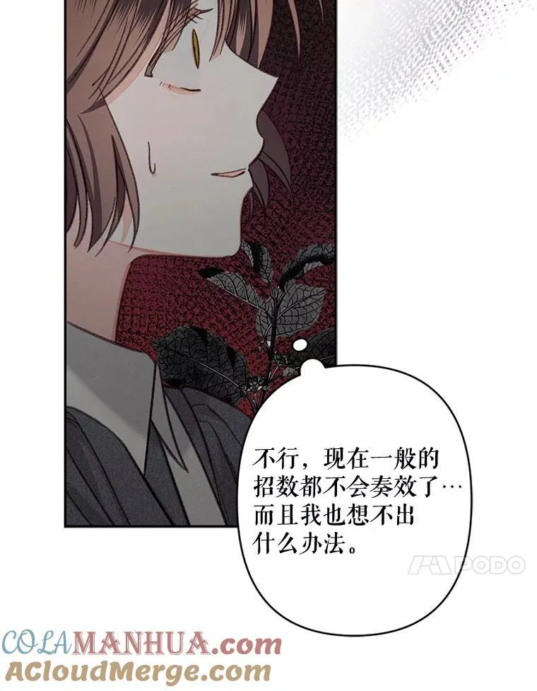 25.特别的茶20