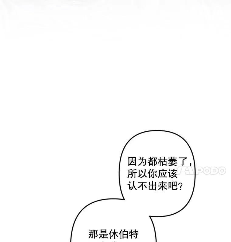 20.问道于花85