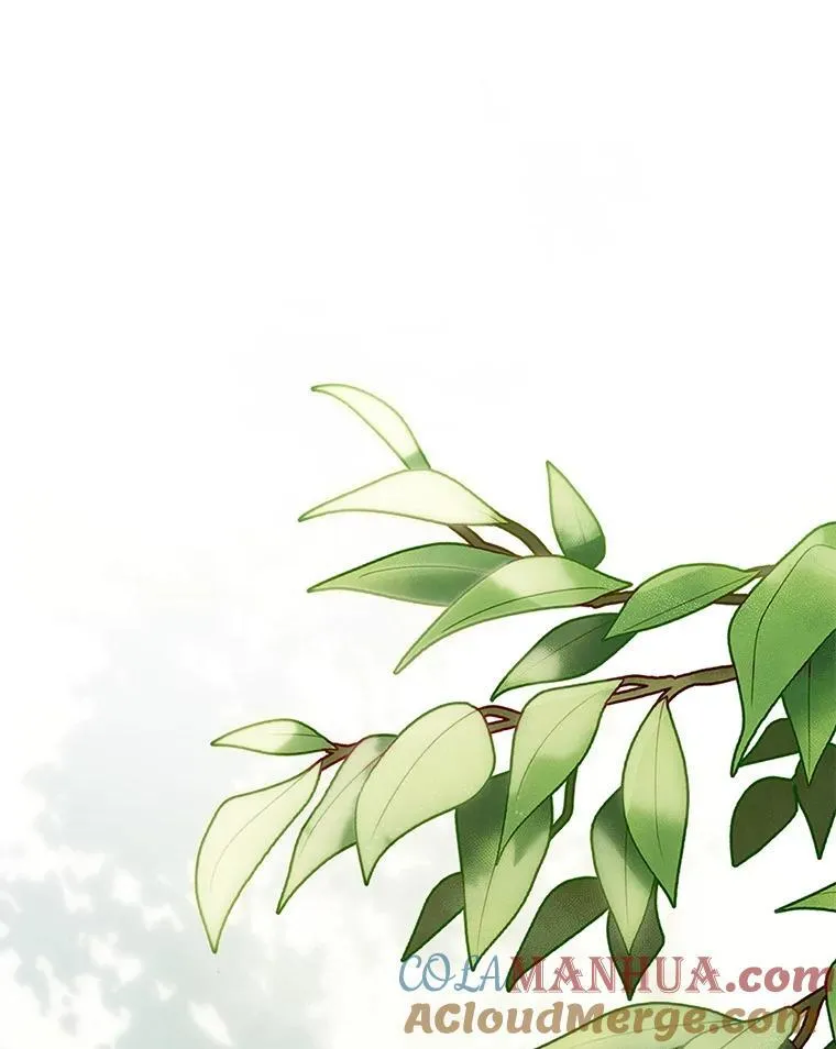 33.月光静谧8
