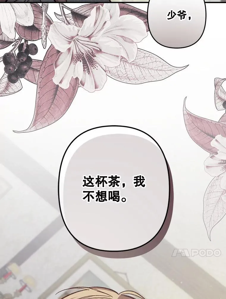 25.特别的茶41