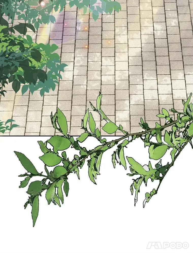 35.邪恶之路41