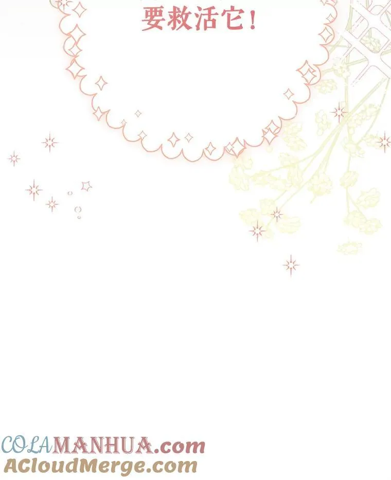 20.问道于花144