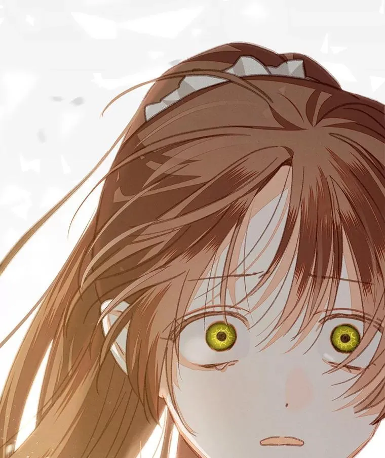 33.月光静谧47