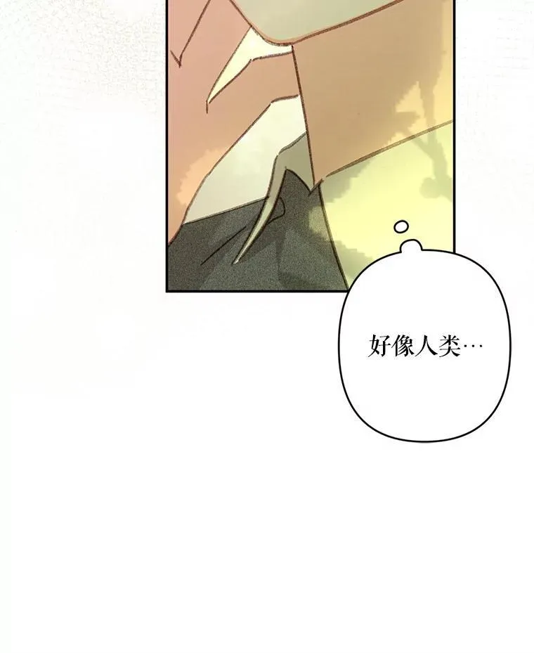 31.庭院凋零66