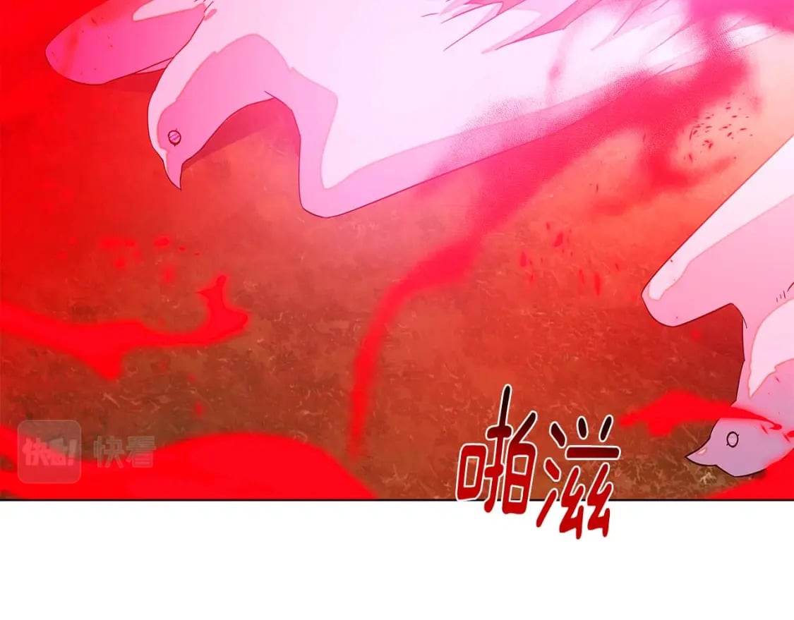 第107话 挚爱的选择40