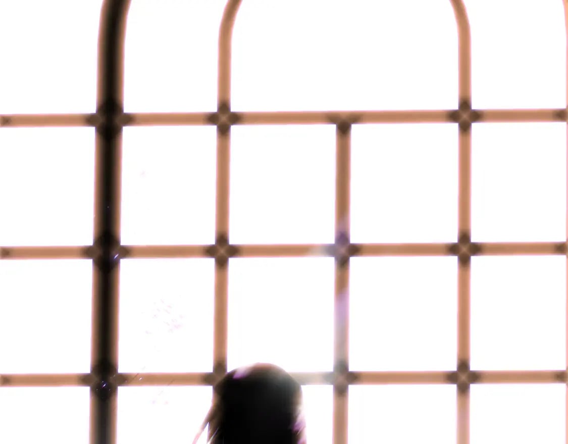 第117话 重振家族137