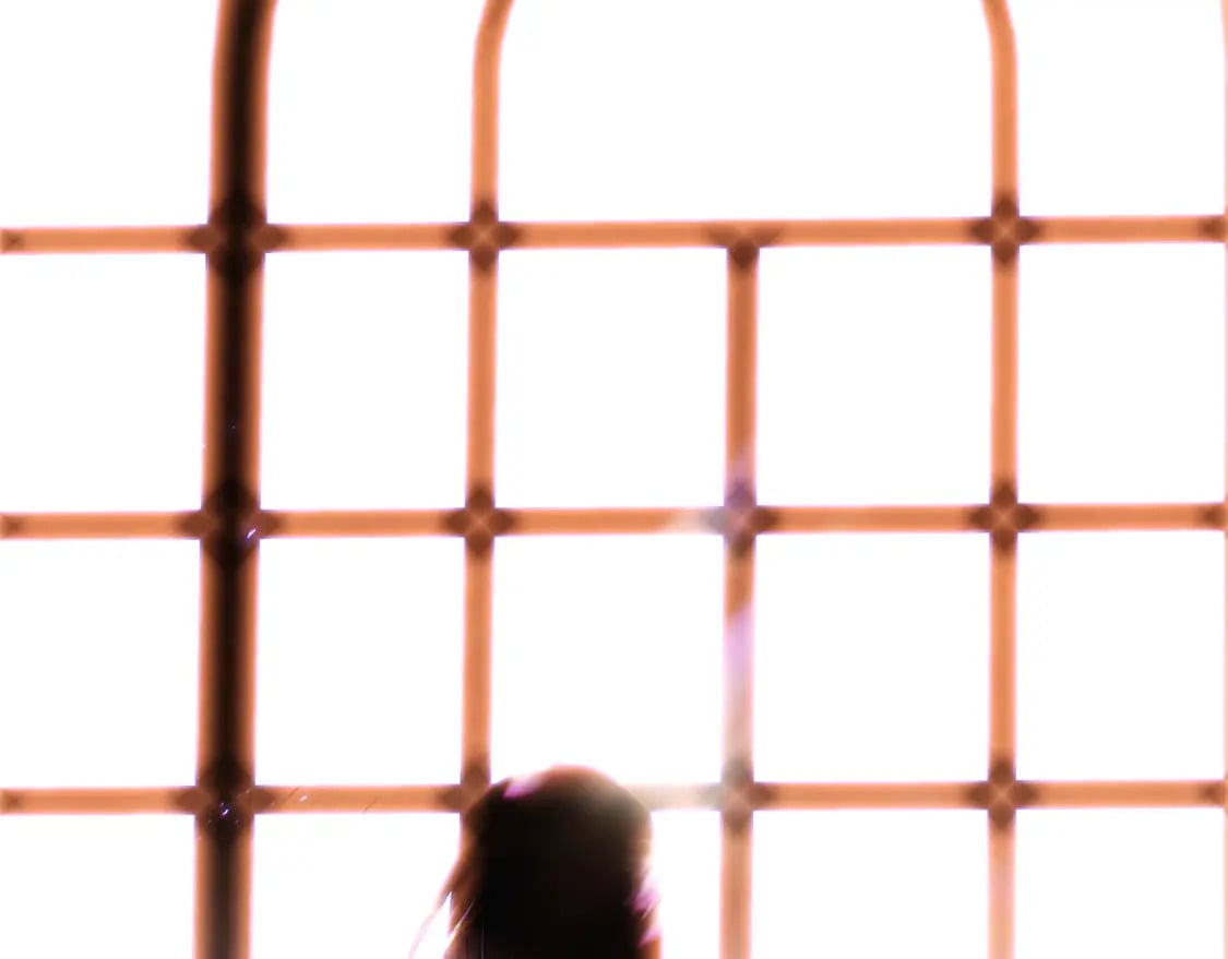 第118话 爱的代价16