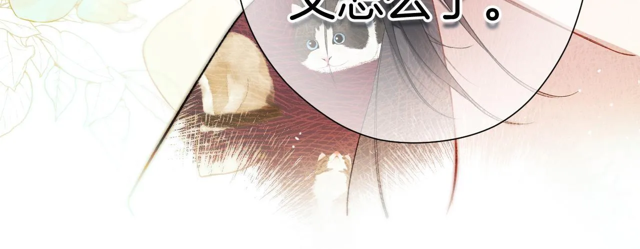 第3话 分手53