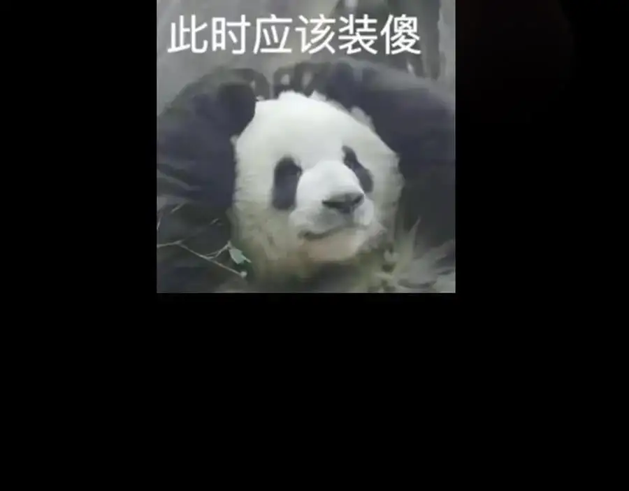 263 满山大雪皆为吾剑174