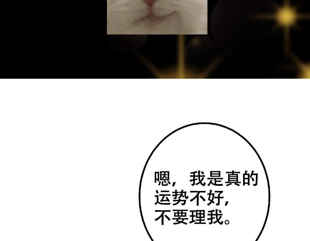 209 冬梨长老的运势不好143