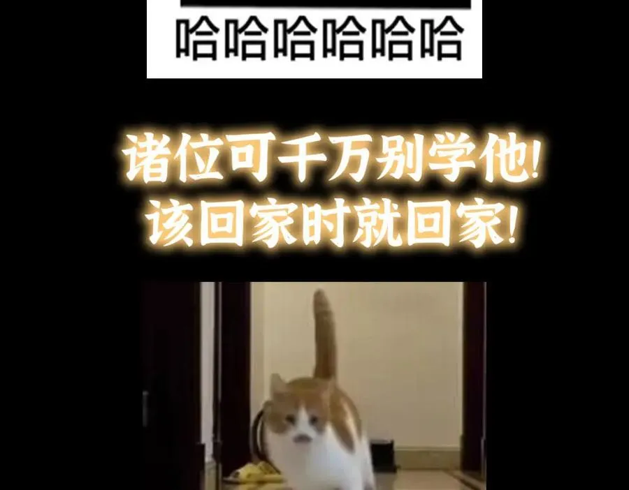 313 迟早在顶峰相见162