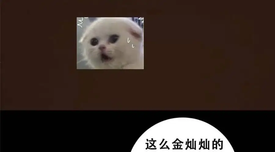 290 一见朝歌误终生163