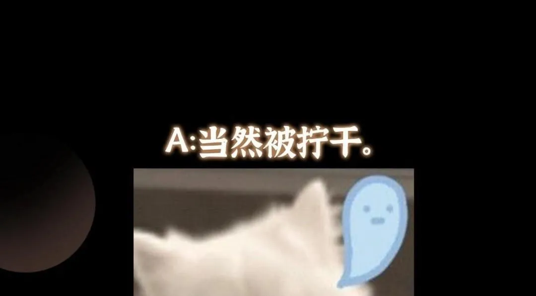 249 有了我珍视的家人152