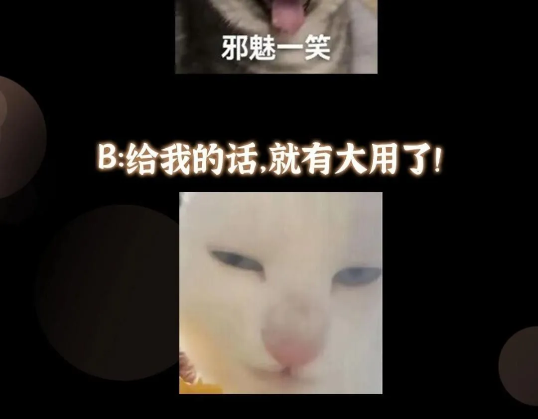242 万一是美人塔主呢？148