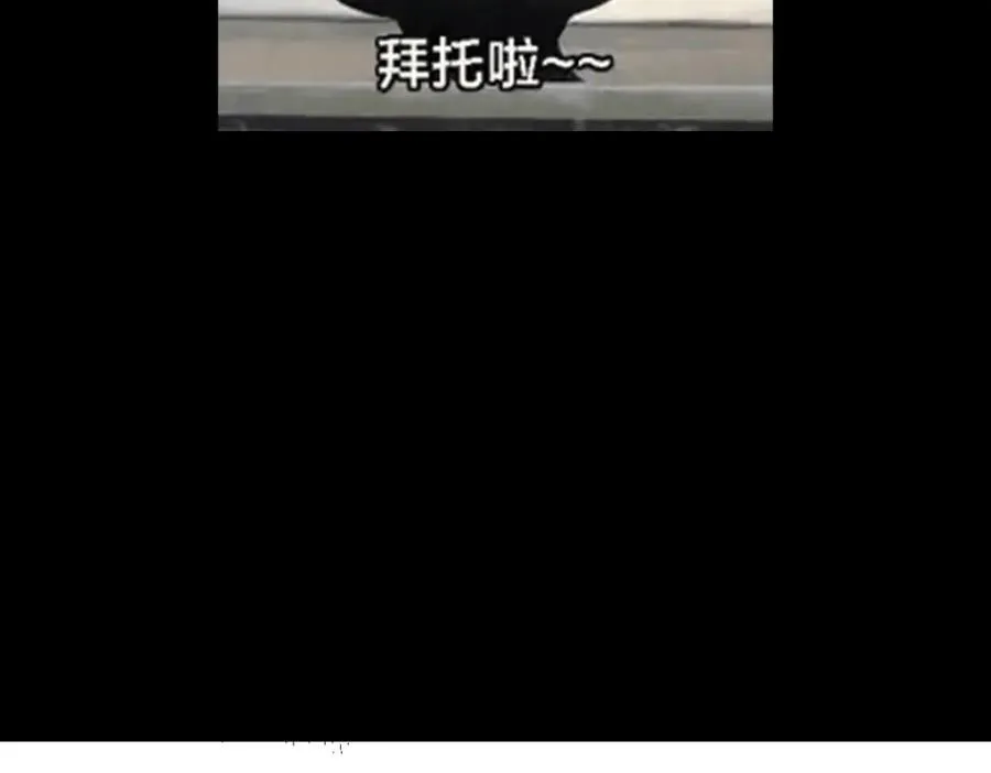 313 迟早在顶峰相见165
