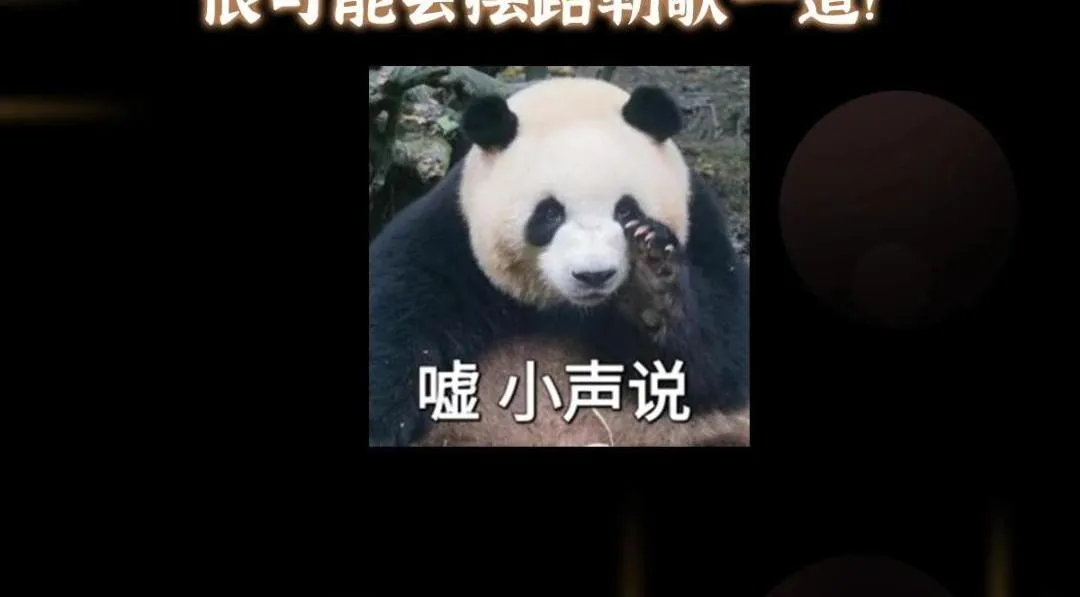 215 资本家看了得流泪！145
