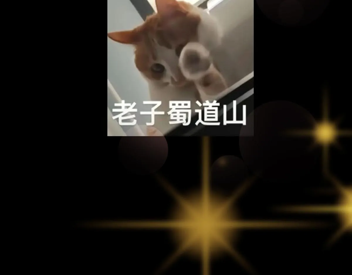 216 一眼便已看破！123