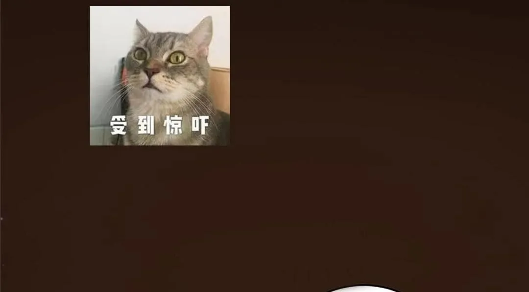 253 就该夫唱妇随！144