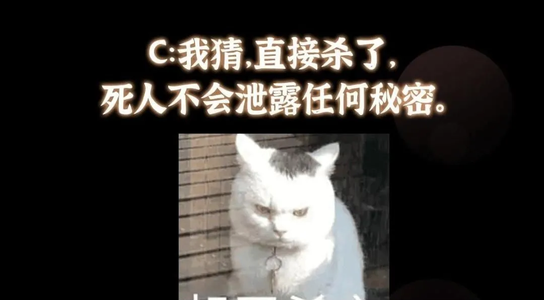 242 万一是美人塔主呢？149