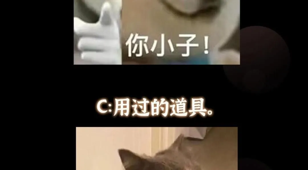 255 痴呆又机灵！137