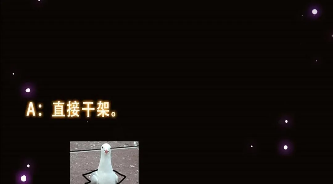 252 紧张的时刻要来了！146