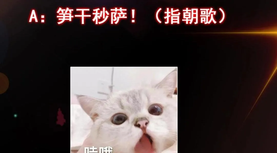 205 要见见娘家人了125