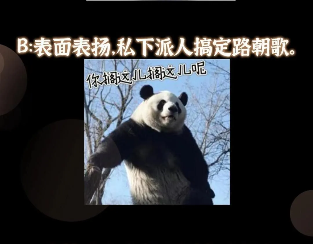226 剑宗高层大议事！156