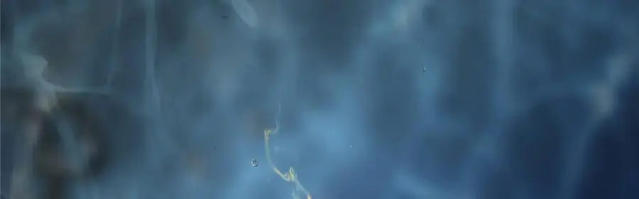 275 绝美与绝美的初见134