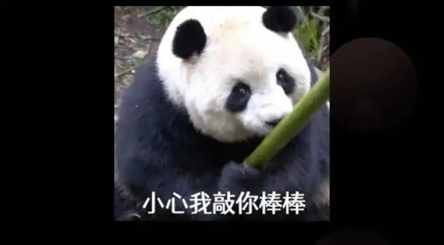 289 到底谁是猎人？猎物？157