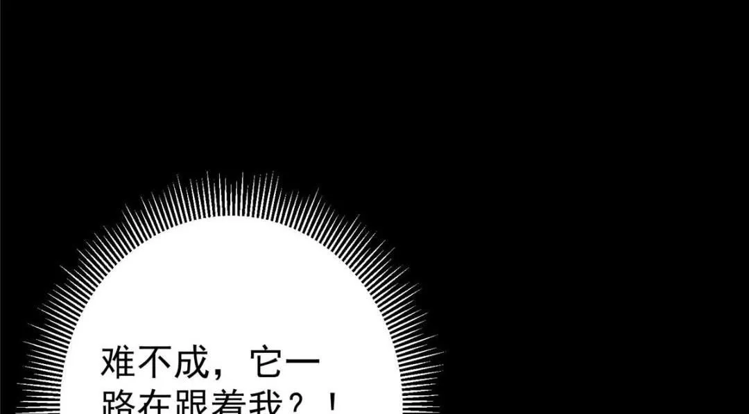 242 万一是美人塔主呢？25