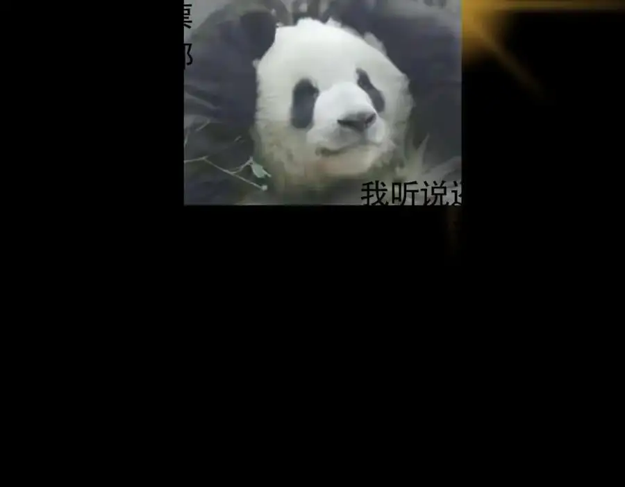 285 这一场，你赢了134