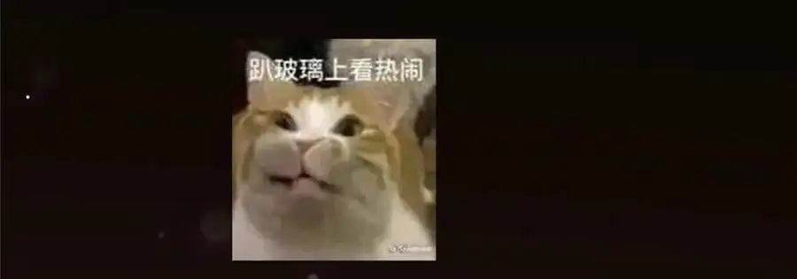 265 挑就要挑最猛的！149