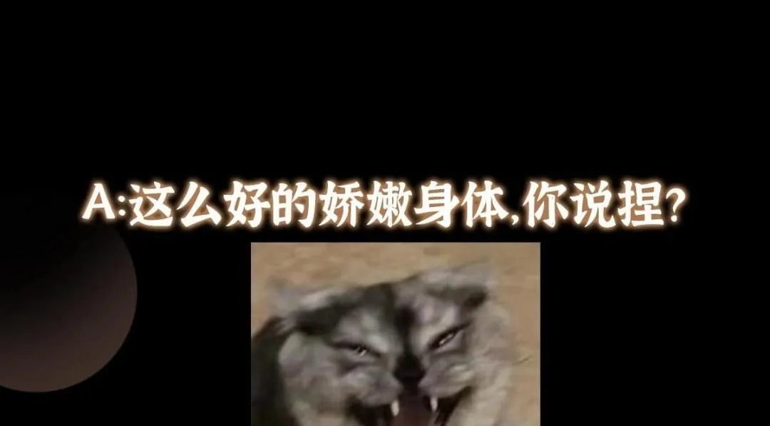 242 万一是美人塔主呢？147