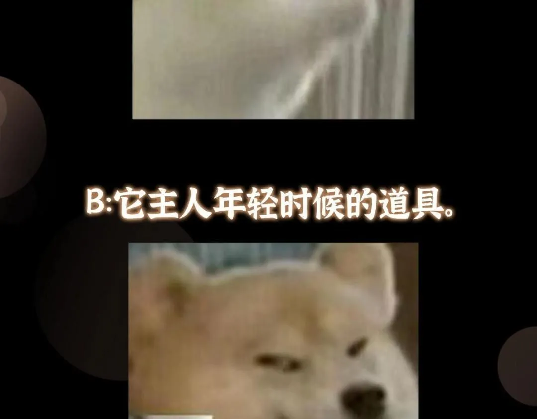 255 痴呆又机灵！136
