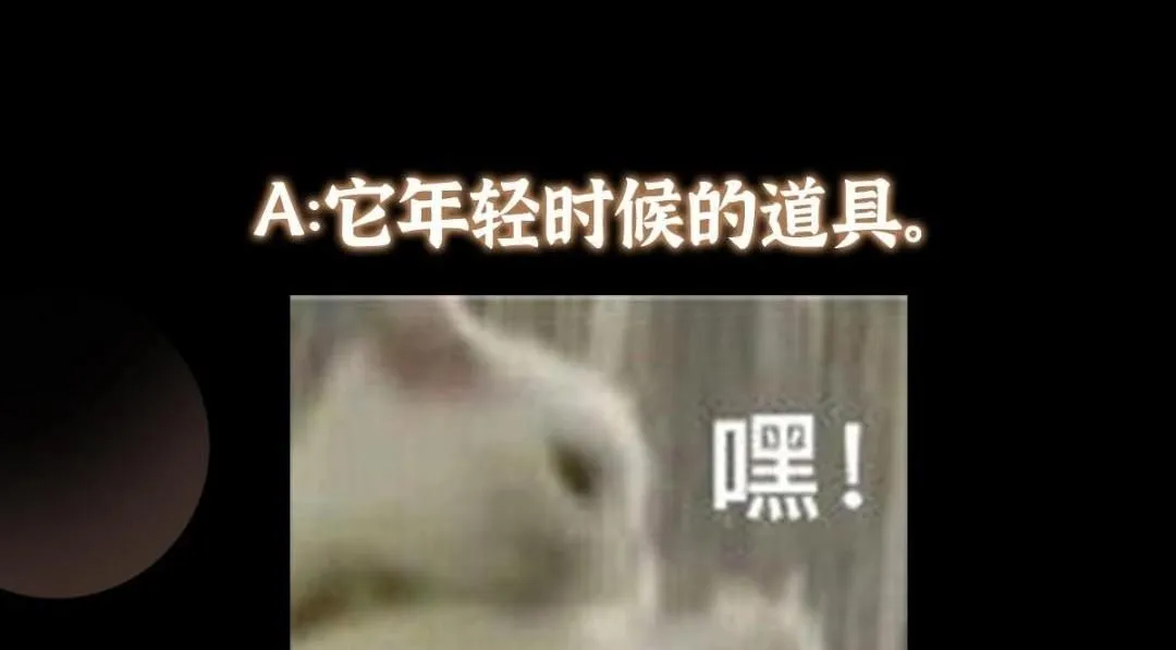 255 痴呆又机灵！135