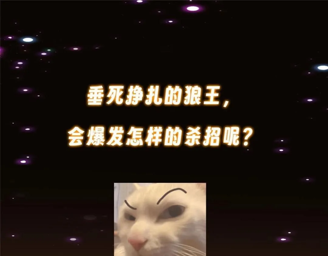 240 这一剑，雪停167