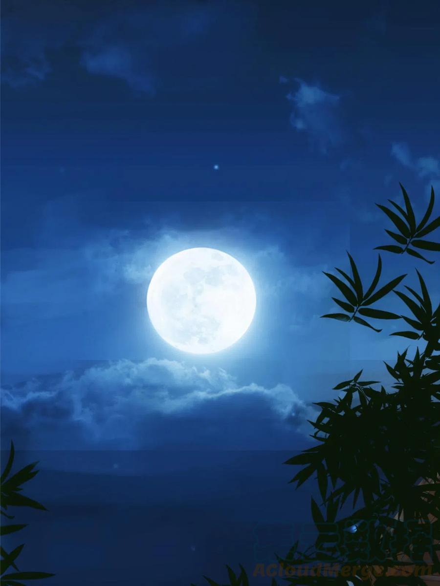 085 这一世我不会错过27